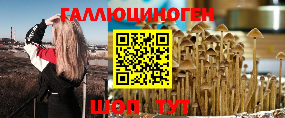 Галлюциногенные грибы Magic Shrooms Геленджик